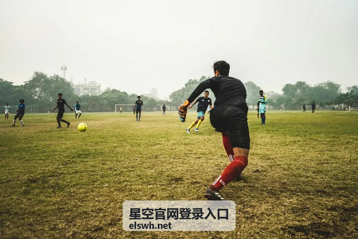 星空官网登录入口直播日程预告：特别场复盘与排期封面