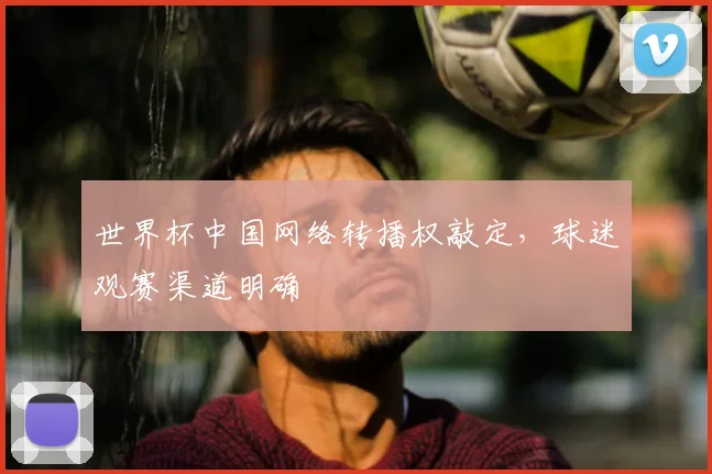 世界杯中国网络转播权敲定，球迷观赛渠道明确